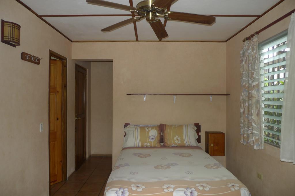 Hostal Hansi 博卡斯德尔托罗 外观 照片